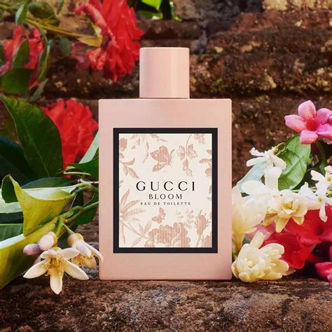 gucci bloom smell|where to buy gucci bloom.